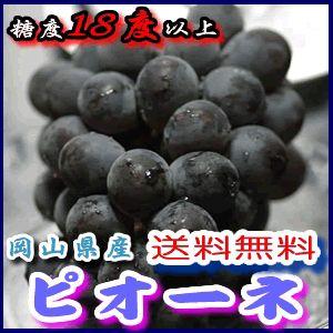 2026年9月分予約 岡山産 ぶどう ピオーネ 大粒2房入 贈答用秀品 ブドウ 葡萄