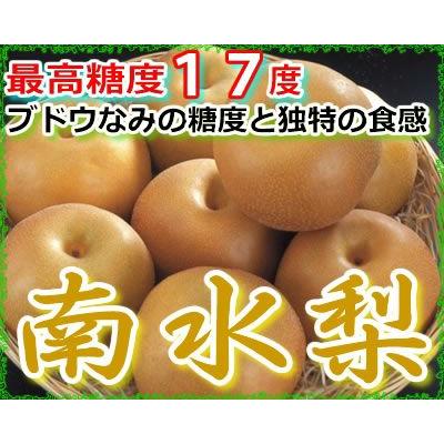 2026年10月分予約 最高糖度17度 梨 長野産 南水梨 贈答用 1.5〜4.5kg 大玉4〜14個入 南水 ギフト 秀品 * ふるさと納税 ではありません | 