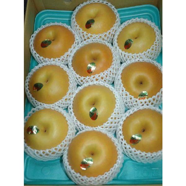 2026年10月分予約 最高糖度17度 梨 長野産 南水梨 贈答用 1.5〜4.5kg 大玉4〜14個入 南水 ギフト 秀品 * ふるさと納税 ではありません |  | 01