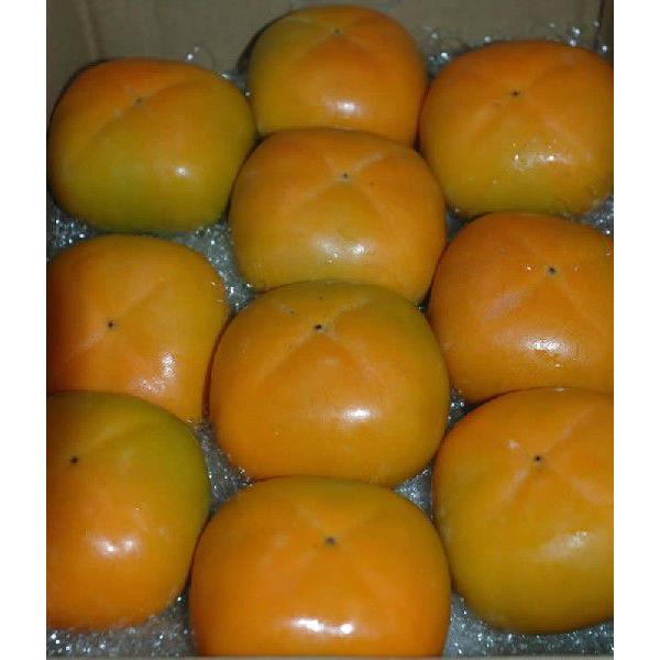 2026年10月分予約 柿 種なし柿 約1.8kg 大玉8個前後入 2L~3L 贈答用 秀