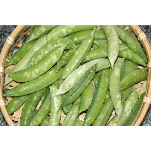 はちまるはち豆ご飯 かきあげや卵とじに 和歌山県産 うすい 実えんどう 100g 60 Off