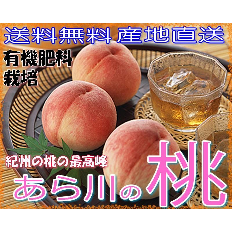 2026年6月分予約 全額返金保証 減農薬 あら川の桃 桃 荒川 あらかわ 11〜15玉約3.8kg 化粧箱入 贈答用 産地直送 * ふるさと納税 ではありませんの画像