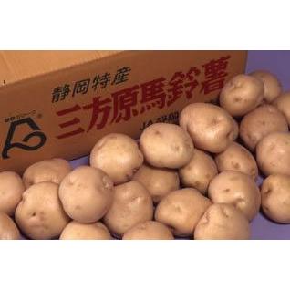 静岡産 三方原馬鈴薯 男爵 10kg 40〜60個入 大玉秀品 L〜2Lサイズ じゃがいも ジャガイモ |  | 01