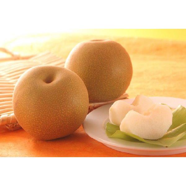 2026年9月分予約 豊水梨 約10キロ 28〜32個入 贈答向け 秀品 豊水 梨 和梨 * ふるさと納税 ではありません |  | 01