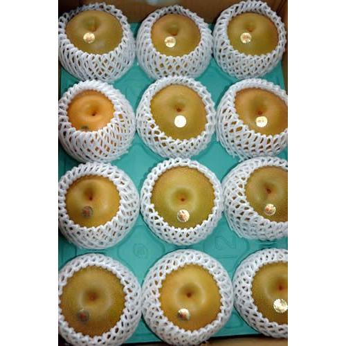 2026年9月分予約 豊水梨 約10キロ 28〜32個入 贈答向け 秀品 豊水 梨 和梨 * ふるさと納税 ではありません |  | 02