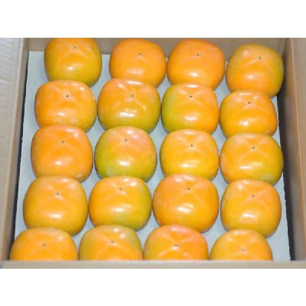 10月分予約 訳あり 柿 種なし柿 約7.5kg 36~40個入 M~L  たねなし柿 種無し柿 平核無柿 刀根柿 * ふるさと納税 ではありません |  | 02