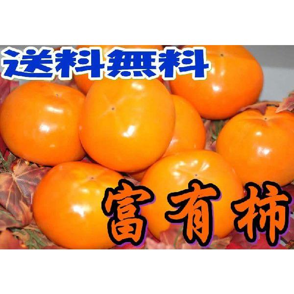 2026年11月分予約 富有柿 贈答用 秀品 約7.5kg M~L 30個前後入 ギフト 和歌山か奈良産 * ふるさと納税 ではありません