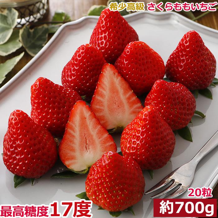 2026年分予約 徳島産 さくらももいちご 20粒 約700g 化粧箱入 2026年分予約 徳島産 さくらももいちご 20粒 約700g 化粧箱入