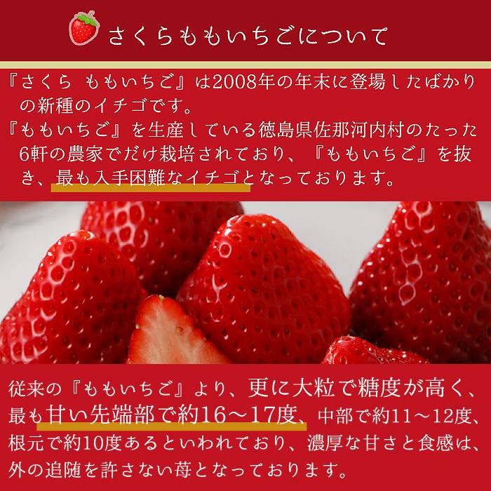 2025年1月分予約 徳島産 さくらももいちご 20粒 約700g 化粧箱入 S10｜808｜14