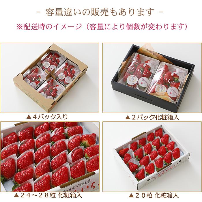 2027年1月分予約 徳島産 さくらももいちご 20粒 約700g 化粧箱入