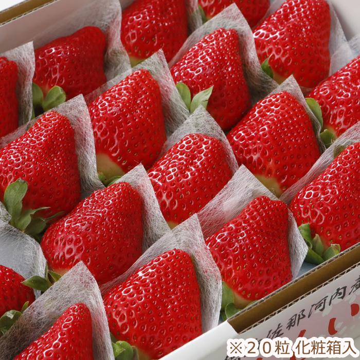 2027年1月分予約 徳島産 さくらももいちご 20粒 約700g 化粧箱入