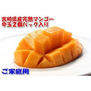 5月分予約 訳あり 宮崎 マンゴー ご家庭用 Lサイズ中玉2玉 パック入 