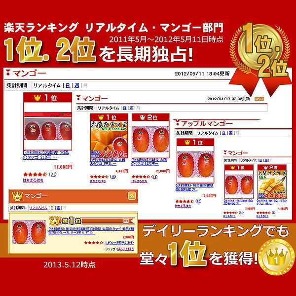 2026年5月分予約 全額返金保証 太陽のタマゴ マンゴー 宮崎 2L 〜 3L 2玉 〜 3玉入 約1kg 化粧箱入 宮崎マンゴー 太陽のたまご ギフト 宮崎県 完熟 完熟マンゴー |  | 10