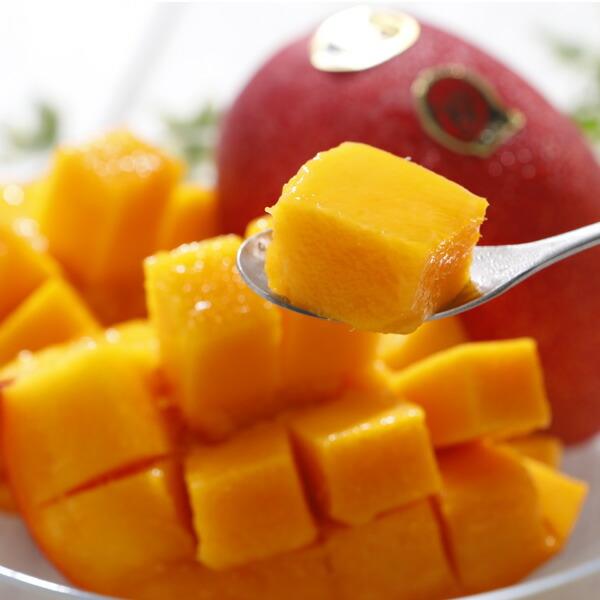 2026年5月分予約 全額返金保証 太陽のタマゴ マンゴー 宮崎 2L 〜 3L 2玉 〜 3玉入 約1kg 化粧箱入 宮崎マンゴー 太陽のたまご ギフト 宮崎県 完熟 完熟マンゴー |  | 02