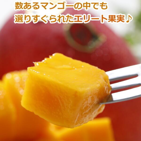 2026年5月分予約 全額返金保証 太陽のタマゴ マンゴー 宮崎 2L 〜 3L 2玉 〜 3玉入 約1kg 化粧箱入 宮崎マンゴー 太陽のたまご ギフト 宮崎県 完熟 完熟マンゴー |  | 04