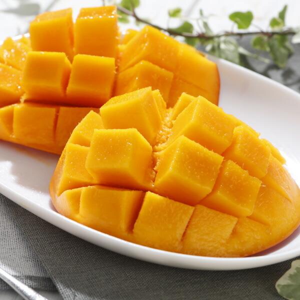 2026年5月分予約 全額返金保証 太陽のタマゴ マンゴー 宮崎 2L 〜 3L 2玉 〜 3玉入 約1kg 化粧箱入 宮崎マンゴー 太陽のたまご ギフト 宮崎県 完熟 完熟マンゴー |  | 06