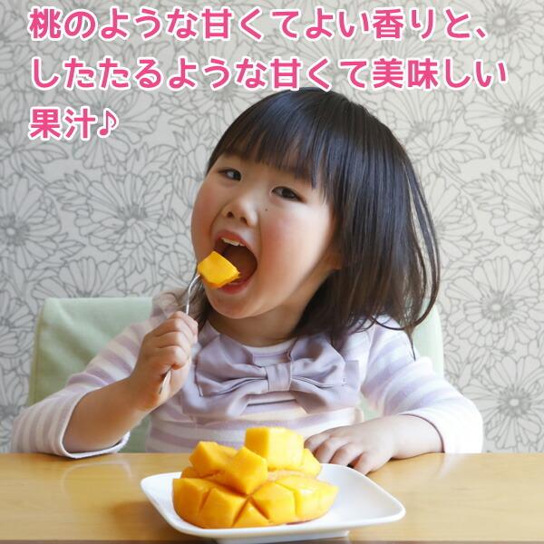 2026年5月分予約 全額返金保証 太陽のタマゴ マンゴー 宮崎 2L 〜 3L 2玉 〜 3玉入 約1kg 化粧箱入 宮崎マンゴー 太陽のたまご ギフト 宮崎県 完熟 完熟マンゴー |  | 07