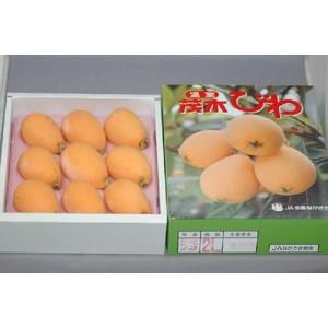 2026年4月分予約 長崎産 びわ 茂木びわ 8~15玉 500g 化粧箱入 ギフト * ふるさと納税 ではありません |  | 01