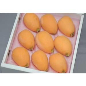 2026年4月分予約 長崎産 びわ 茂木びわ 8~15玉 500g 化粧箱入 ギフト * ふるさと納税 ではありません |  | 02