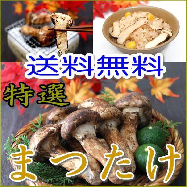美品 中国産 松茸 まつたけ マツタケ すだち付き 5 8本程度 約400g つぼみ 中椀 キノコ