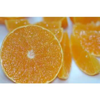 2026年12月分予約 愛媛 紅まどんな 約1.2kg~5kg 紅マドンナ 贈答用 みかん お歳暮 ギフト ※ ふるさと納税 ではありません |  | 02