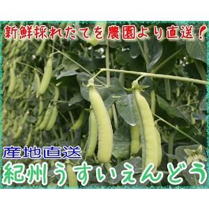 23年2月分予約 和歌山産 うすいえんどう 実えんどう 約1kg入 Lサイズ 産地直送 紀州うすい S10 買得