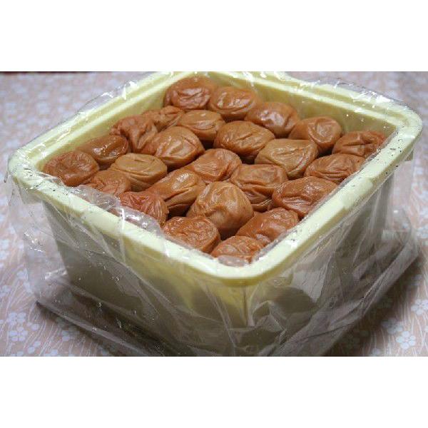 無添加 無着色 和歌山産 南高梅「白干し梅」梅干し 5Lサイズ3kg 紀州梅 産地直送 * ふるさと納税 ではありません | 