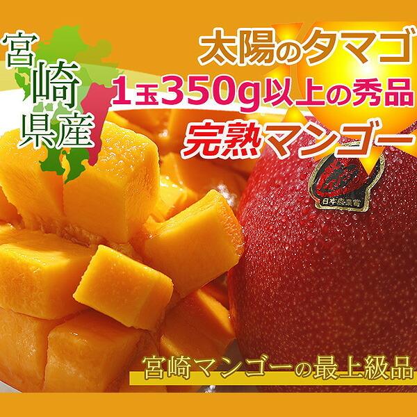 2027年5月分予約 全額返金保証 マンゴー 太陽のタマゴ 宮崎マンゴー