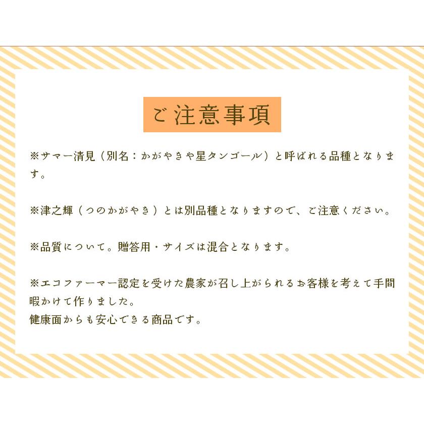 2026年3月分予約 糖度15度 訳あり 愛媛産 減農薬 かがやき 約10kg サイズ混合 清見 オレンジ サマー 星 タンゴール つのかがやき ( 津之輝 津の輝 )と別品種 み |  | 08