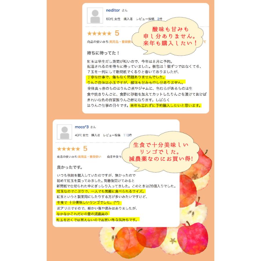9月分予約 減農薬 長野 生食用 紅玉 りんご B品 約4~8kg小玉12~50個入