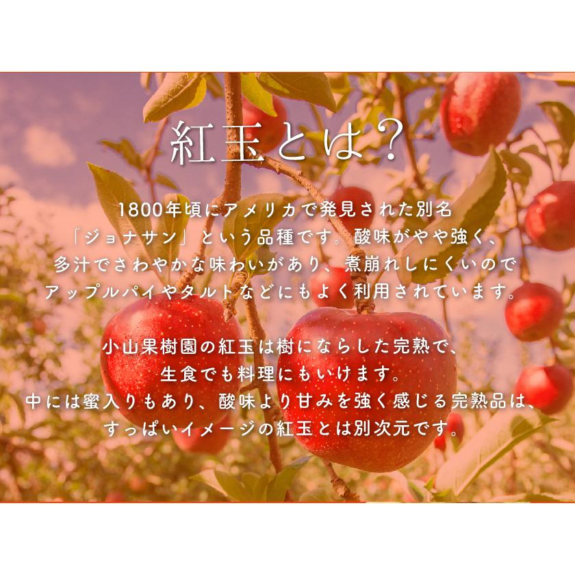 maki 長野りんご　紅玉　10キロ　減農薬　安全安心美味しいりんご 9月分予約 減農薬 長野 生食用 紅玉 りんご B品 約4~8kg小玉12~50個入