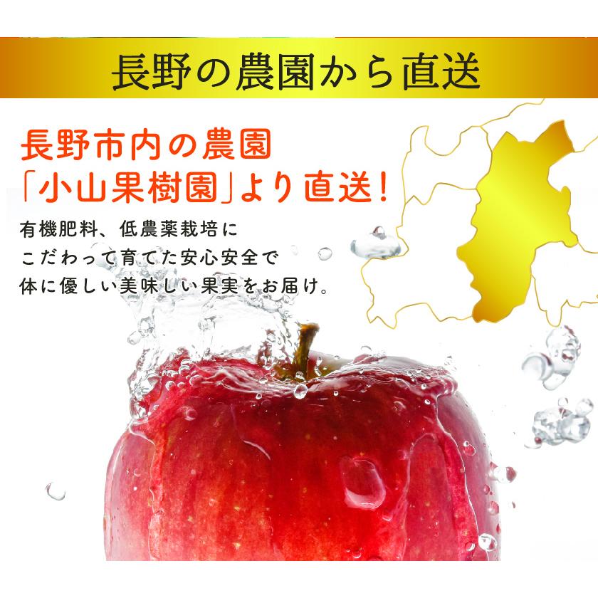 maki 長野りんご　紅玉　10キロ　減農薬　安全安心美味しいりんご 9月分予約 減農薬 長野 生食用 紅玉 りんご B品 約4~8kg小玉12~50個入