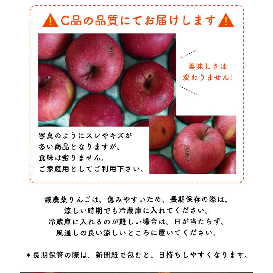天　長野りんご　紅玉　10キロ　減農薬　安全安心美味しいりんご 9月分予約 減農薬 長野 生食用 紅玉 りんご B品 約4~8kg小玉12~50個入