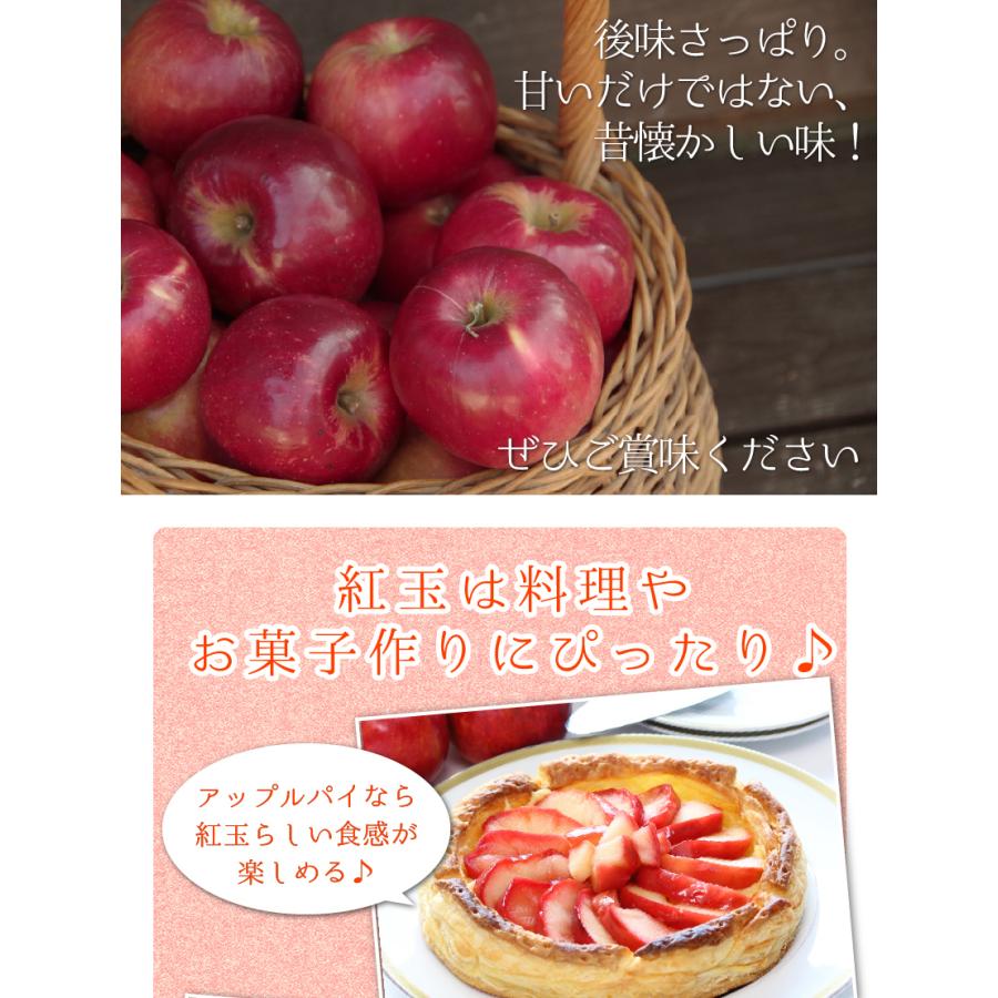 天　長野りんご　紅玉　10キロ　減農薬　安全安心美味しいりんご 9月分予約 減農薬 長野 生食用 紅玉 りんご B品 約4~8kg小玉12~50個入