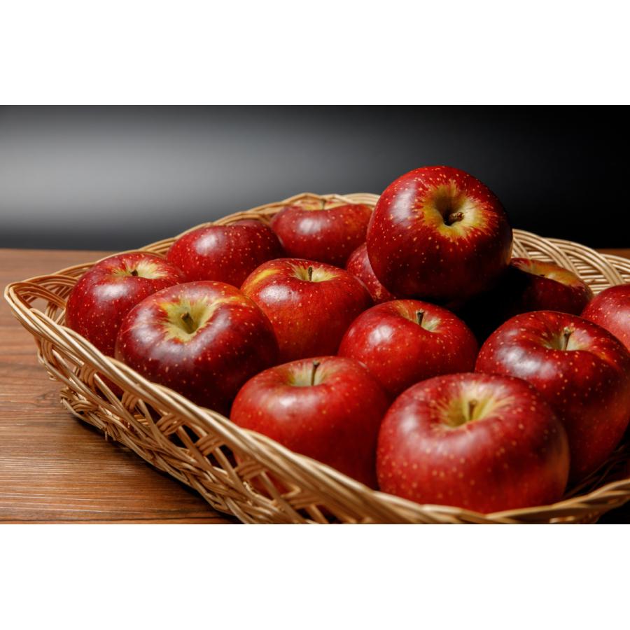 2024年10月分予約 減農薬 シナノスイート りんご B品 約4.5kg 8~25個入 長野産リンゴ 林檎 産地直送 小山 SSS｜808