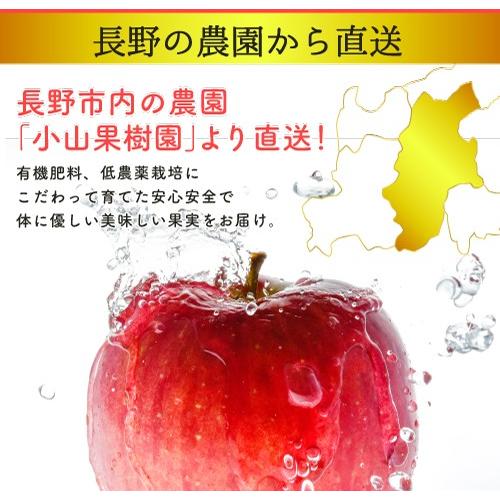 12月分予約 減農薬 サンふじ りんご 訳あり 約9kg C品  24〜50個入 長野 リンゴ 林檎 さんふじ サンフジ 小山 SSS 産地直送｜808｜07