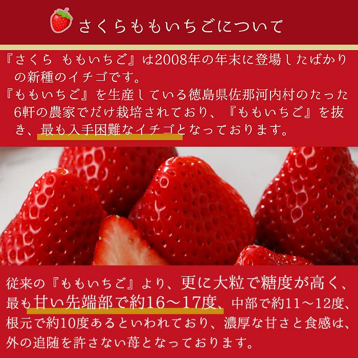 12月分予約 徳島産 さくらももいちご 2~4パック 約440~880g入 お歳暮