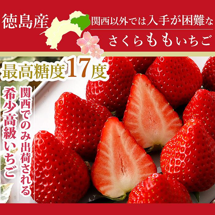 12月分予約 徳島産 さくらももいちご 2~4パック 約440~880g入 お歳暮
