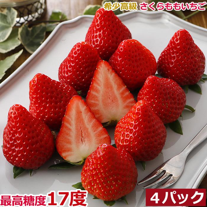 2027年1月分予約 徳島産 さくらももいちご 4パック 約880g入 ギフト