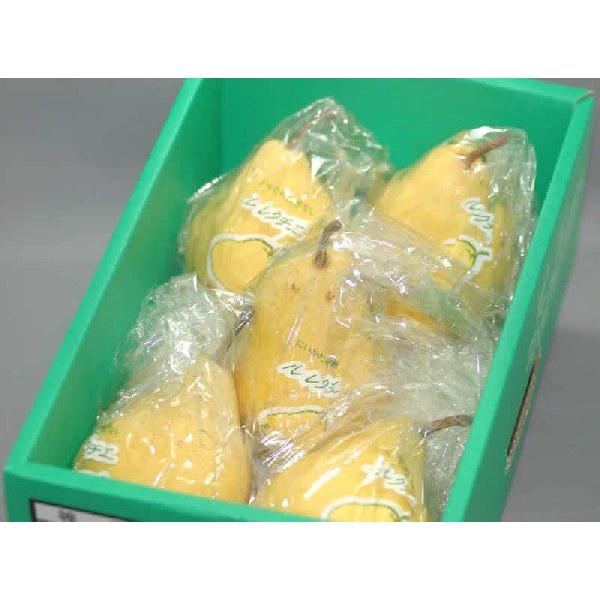 2026年12月分予約 新潟県産 洋梨 ル レクチェ 秀品 贈答用 約2kg5~10個 化粧箱入 ル・レクチェ * ふるさと納税 ではありません