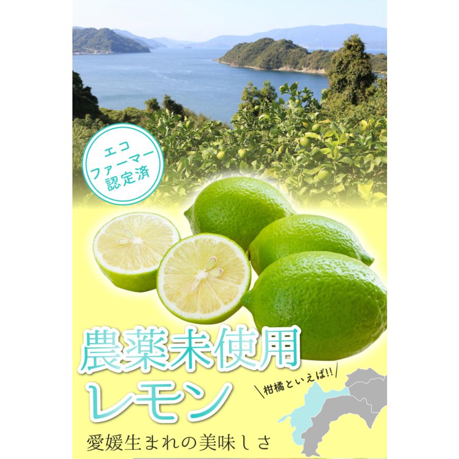 2024年10月分予約 訳あり 国産 無農薬 レモン 3kg 愛媛 大三島 又は 広島 瀬戸内 ore れもん 檸檬 家庭用 国産 防腐剤不使用 フルーツ 果物 祝い 内祝い お中元｜808｜08