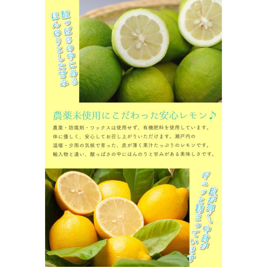訳あり 国産 農薬未使用 レモン 3kg 無農薬 の表示は国のガイドラインで表示禁止 愛媛 大三島 又は 広島 瀬戸内 Ore 10g Sss はちまるはち 通販 Yahoo ショッピング