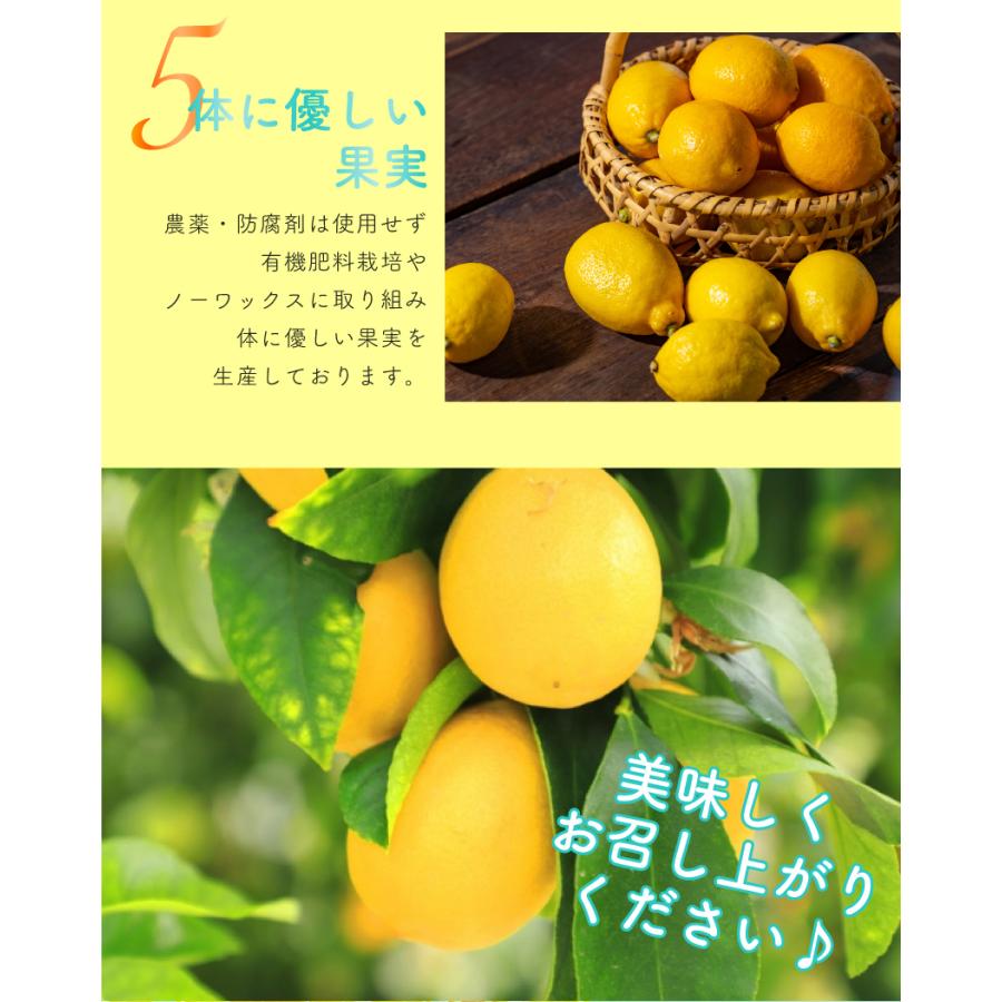 2024年10月分予約 訳あり 国産 無農薬 レモン 5kg 愛媛 大三島 又は 広島 瀬戸内 ore れもん 檸檬 家庭用 国産 防腐剤不使用 フルーツ 果物 祝い 内祝い お中元｜808｜10