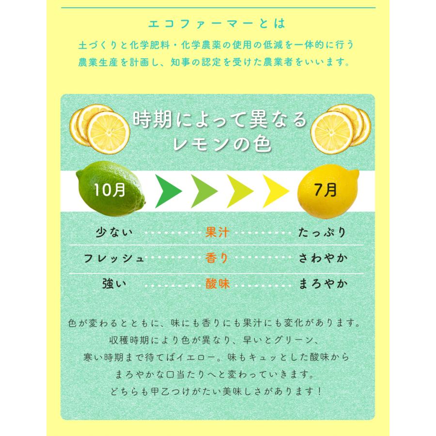 10月分予約 訳あり 国産 無農薬 レモン 10kg 愛媛 大三島 又は 広島