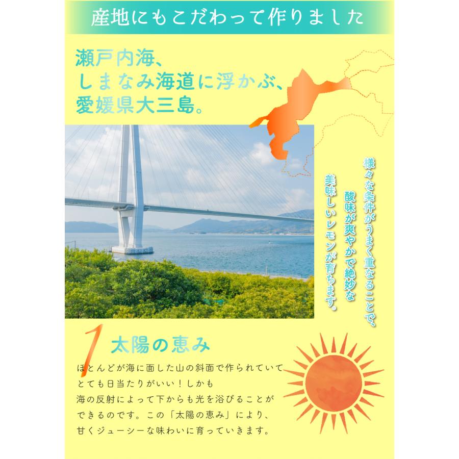 10月分予約 訳あり 国産 無農薬 レモン 10kg 愛媛 大三島 又は 広島