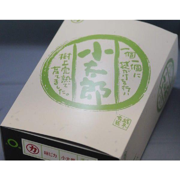 2026年1月分予約 愛媛産 味ピカ 小太郎みかん 2kg 30個〜50個 2026年1月分予約 愛媛産 味ピカ 小太郎みかん 2kg 30個〜50個