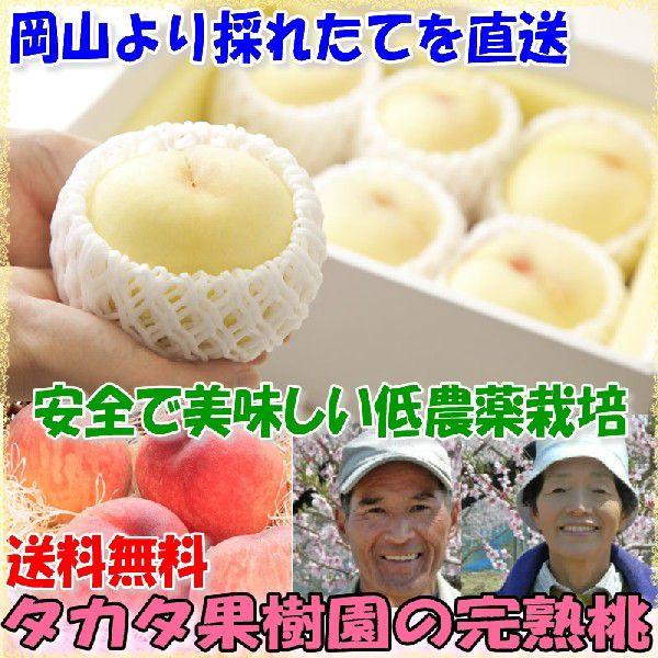 【2023年分予約】減農薬 岡山 白鳳 白桃 桃 14玉 約3.7kg〜4kg 化粧箱入 贈答用 ギフト 産地直送|808|02