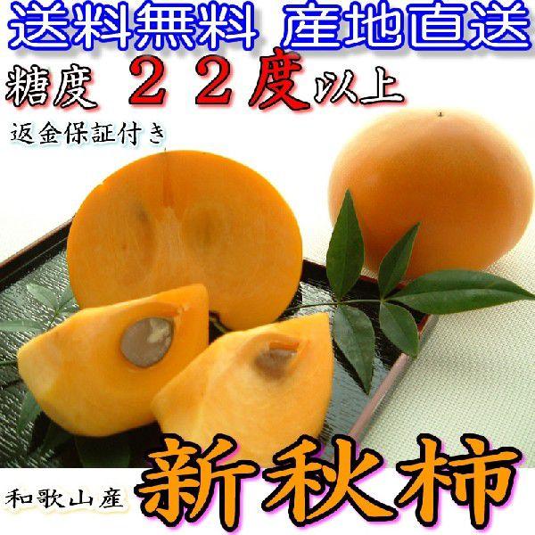 2026年9月分予約 糖度22度 返金保証 和歌山 柿 新秋柿 L 11玉 約2kg 化粧箱 贈答用 産地直送 * ふるさと納税 ではありません_1