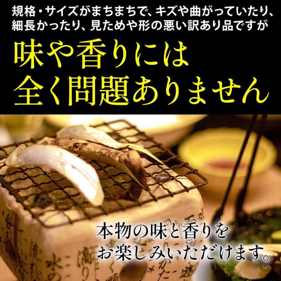 2026年9月以降分予約 訳あり 国産 松茸 300g前後 まつたけ マツタケ 