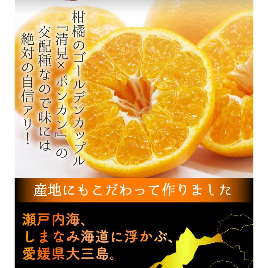 糖度15度前後 訳あり 低農薬 愛媛 はるみ みかん 約10kg B品 サイズ